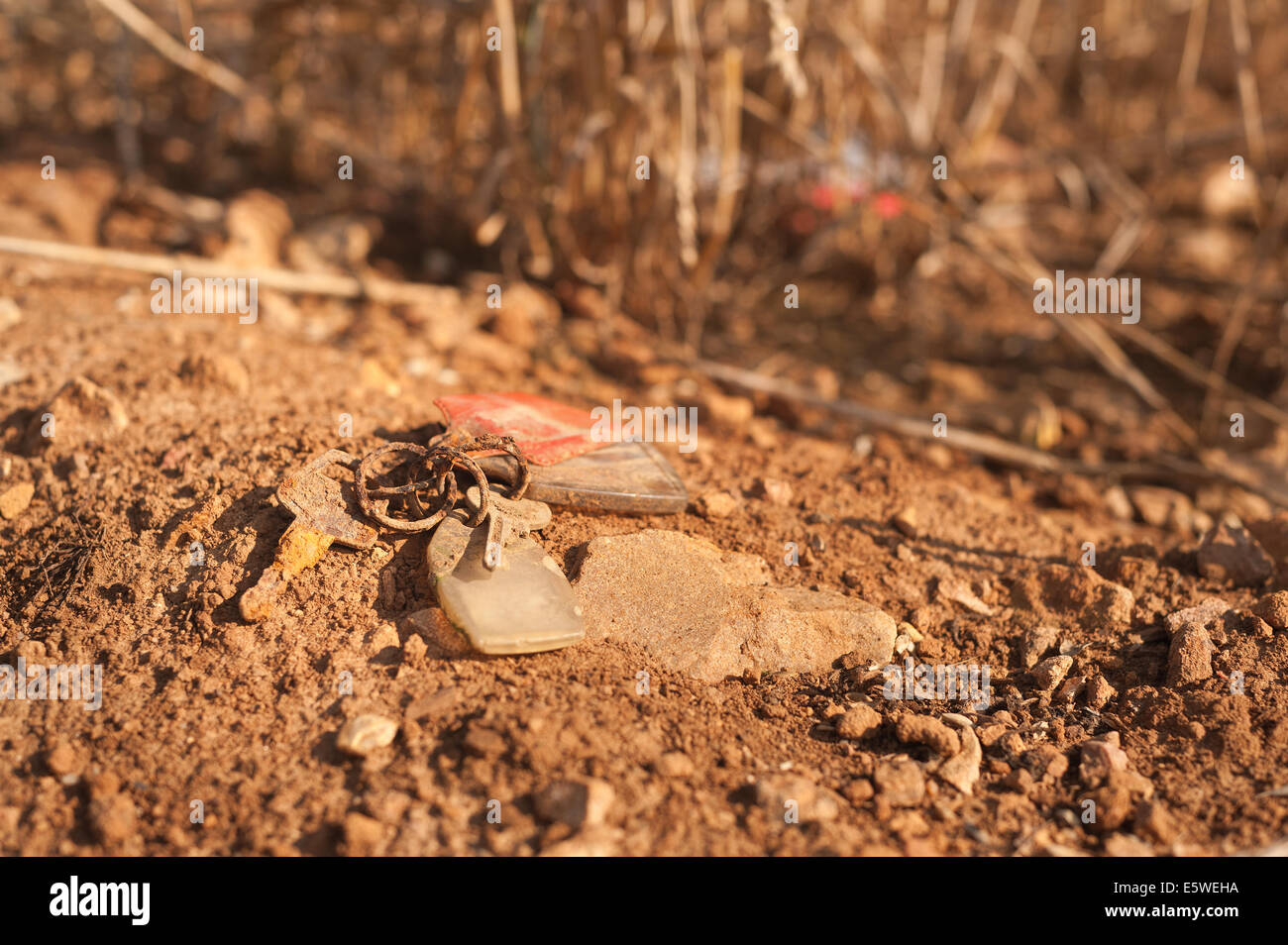 Sbiadito perso casa e auto chiavi in campi di grano scoperto nel terriccio asciutto il suolo con ombre sbiadite foto di bambini in anello chiave Foto Stock