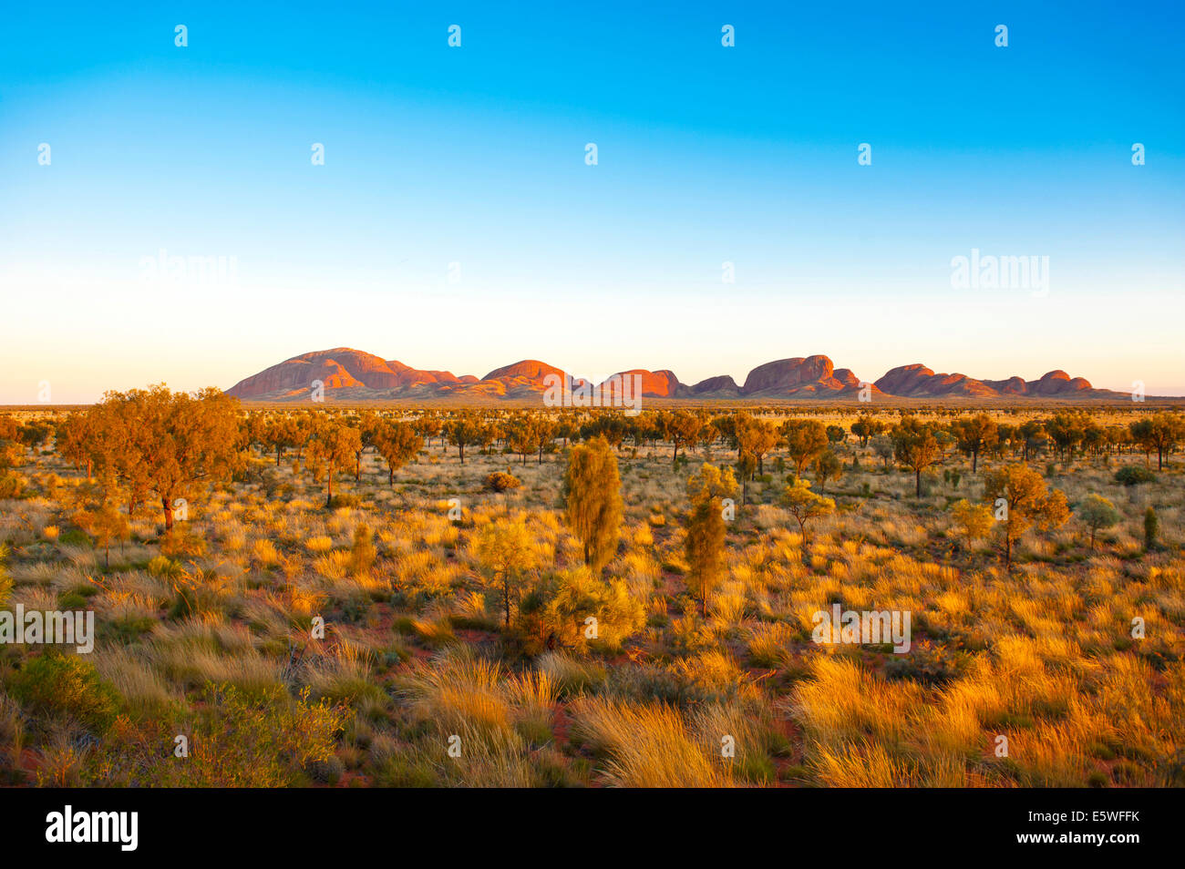 Kata Tjuta, Territorio del Nord, l'Australia Foto Stock