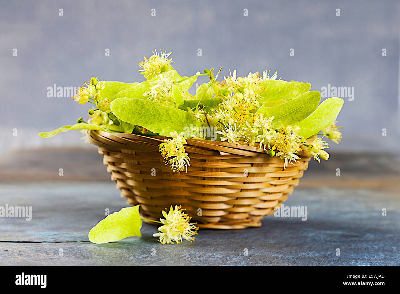 Linden Foto Stock