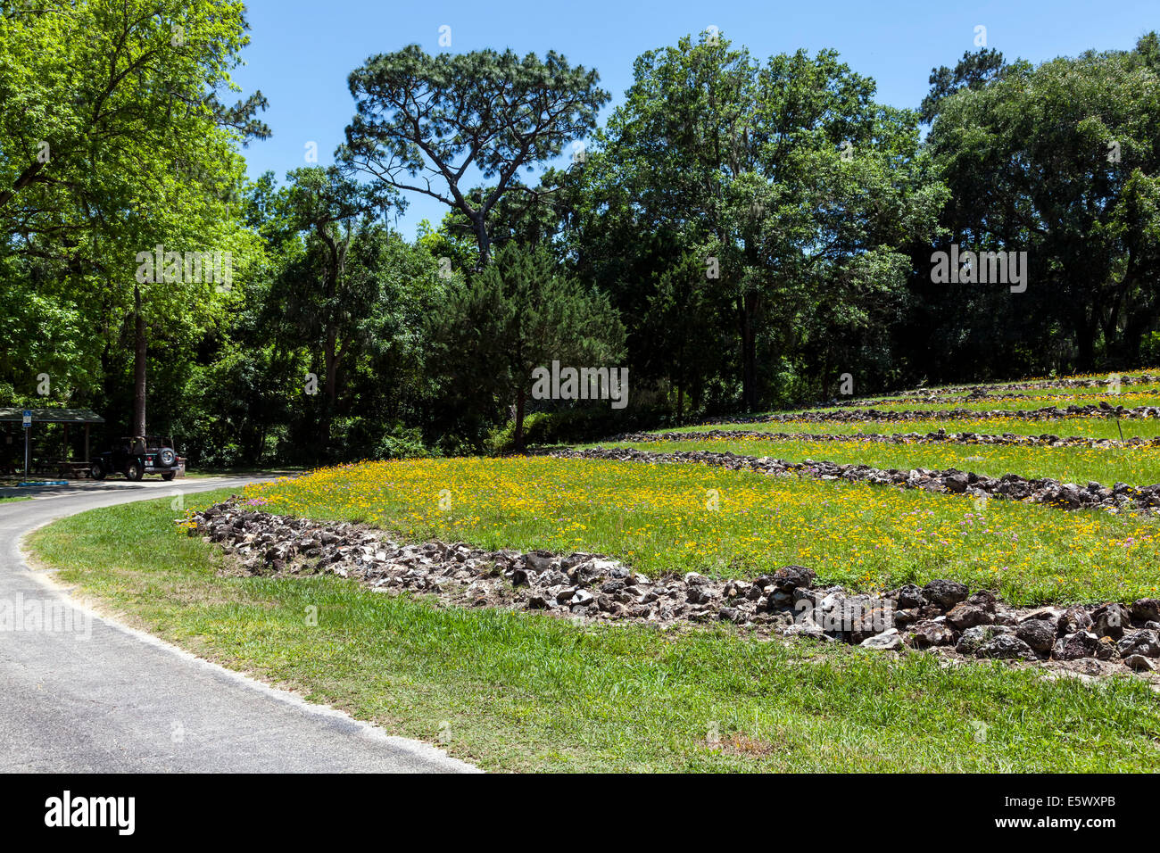 Rock-tiered hillside forma un anfiteatro naturale Forra dei giardini del Parco Statale di Palatka, Florida, Stati Uniti d'America. Foto Stock