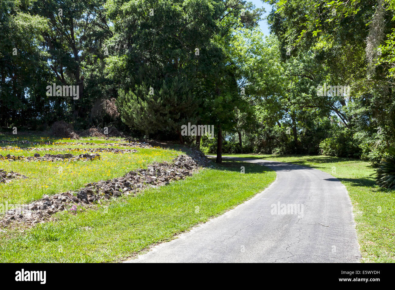 Carreggiata passa dal rock-tiered hillside formando un anfiteatro naturale nel burrone giardini del Parco Statale di Palatka, Florida, Stati Uniti d'America. Foto Stock