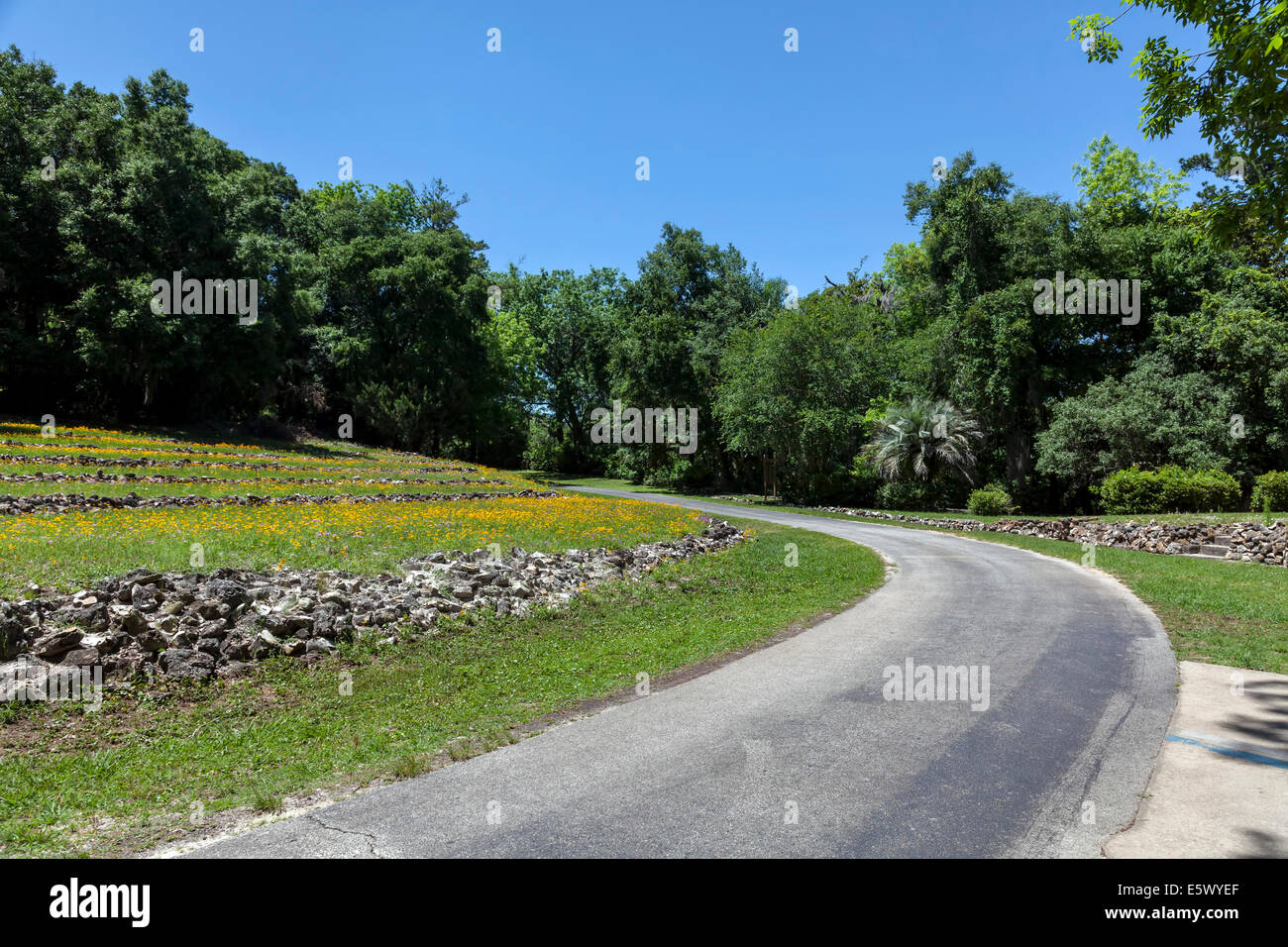 Rock-tiered hillside forma un anfiteatro naturale Forra dei giardini del Parco Statale di Palatka, Florida, Stati Uniti d'America. Foto Stock
