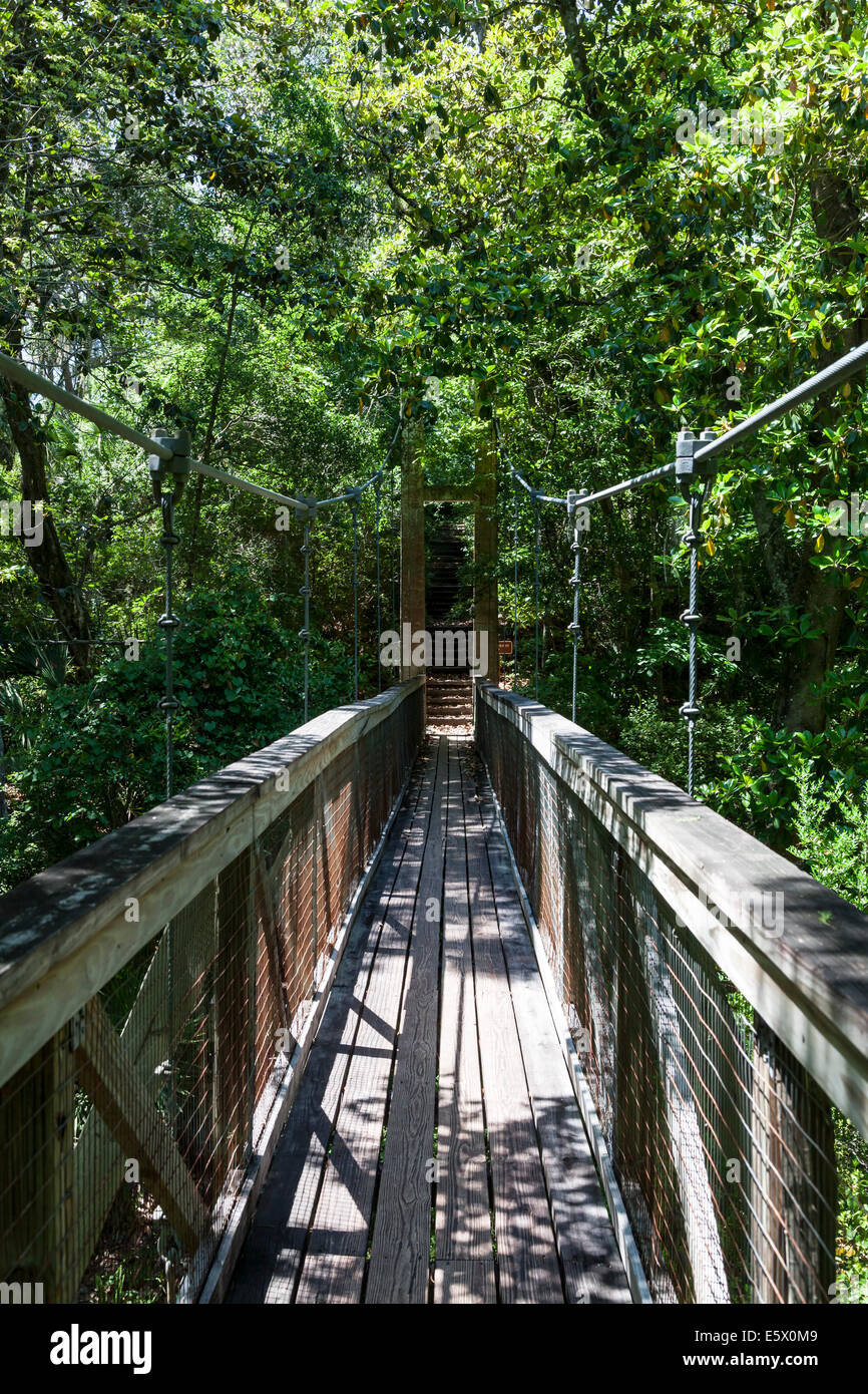 Legno duro pedonale piede di sospensione ponte sul burrone giardini del Parco Statale di Palatka, Florida, Stati Uniti d'America. Foto Stock