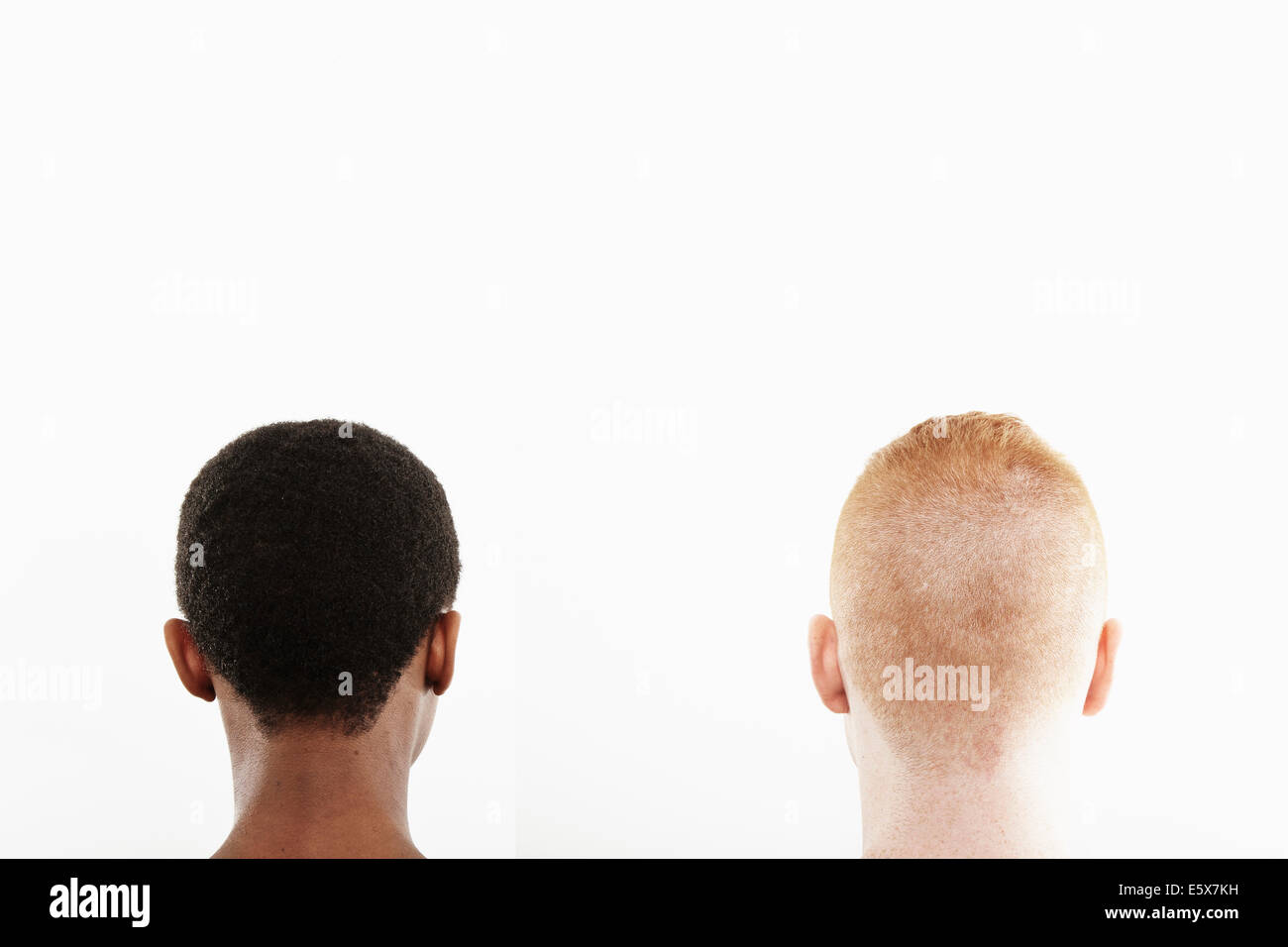 Vista posteriore studio Ritratto di giovane coppia capelli ritagliata Foto Stock