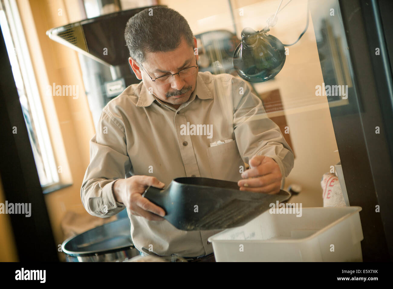 Uomo maturo con chicco di caffè scoop per la tostatura del caffè macchina del caffè Foto Stock