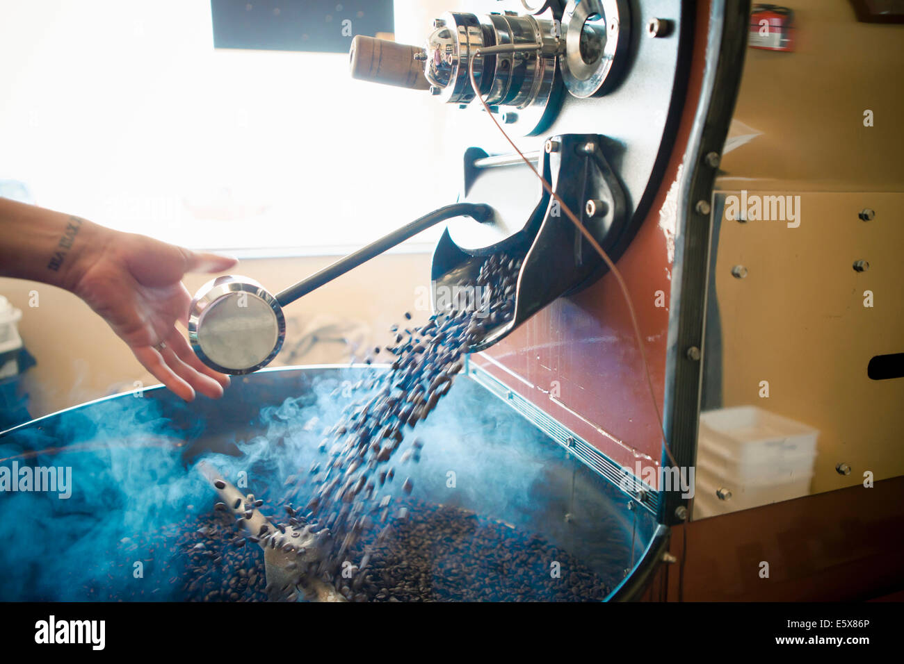 Femmina lato utilizzando caffè industriali macchina di torrefazione del caffè Foto Stock