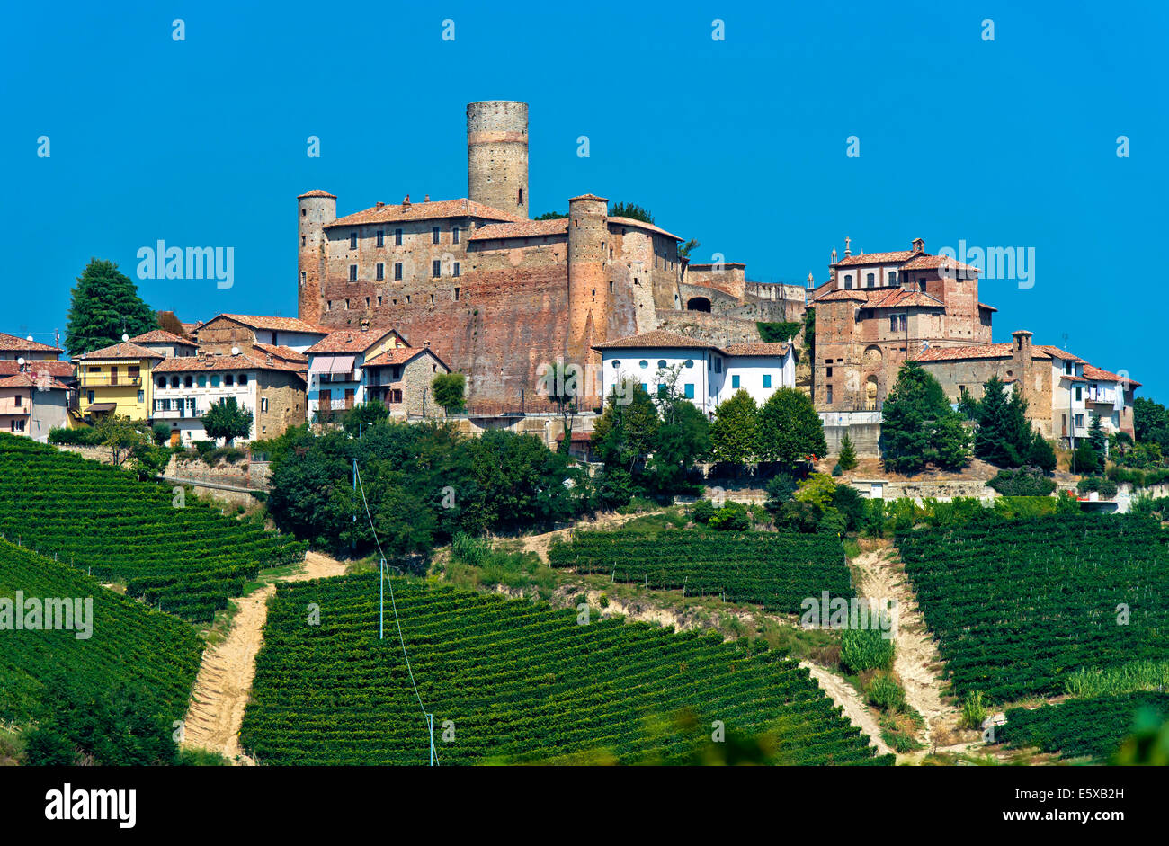 Il castello di Castiglione Falletto sollevandosi al di sopra di vigneti,  Castiglione Falletto, provincia di Cuneo, Piemonte, Italia Foto stock -  Alamy