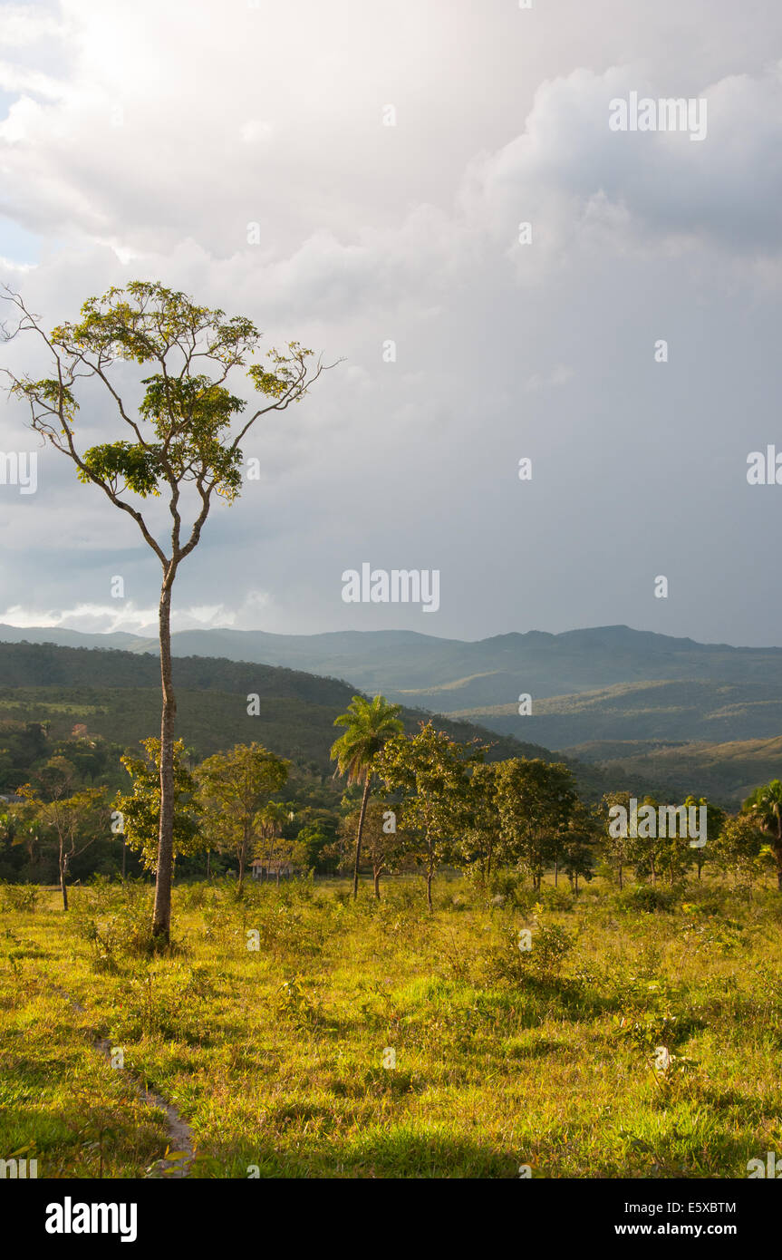 Goiás Brasile Foto Stock