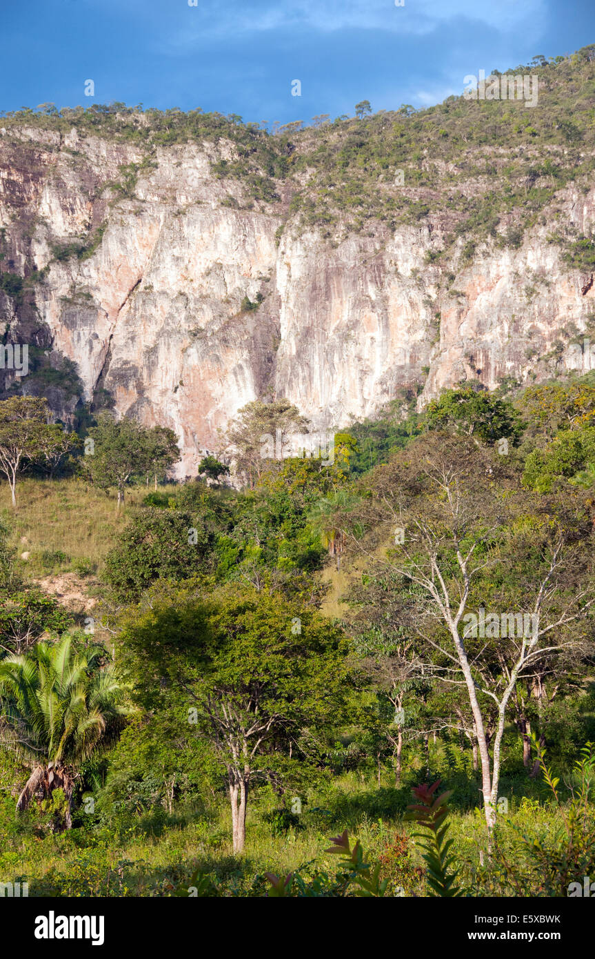 Bellissimo paesaggio accanto ad alto Paraiso , stato di Goiás in Brasile Foto Stock