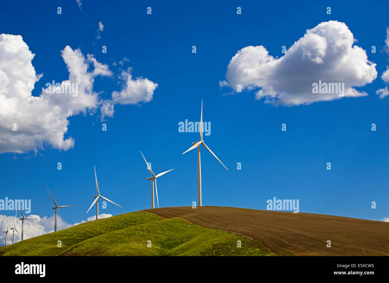 Un parco eolico con il gigante delle turbine eoliche in remoto Impero Palouse regione, di allevamento e di produzione del frumento regione di dolci colline in Eastern Washington. Foto Stock