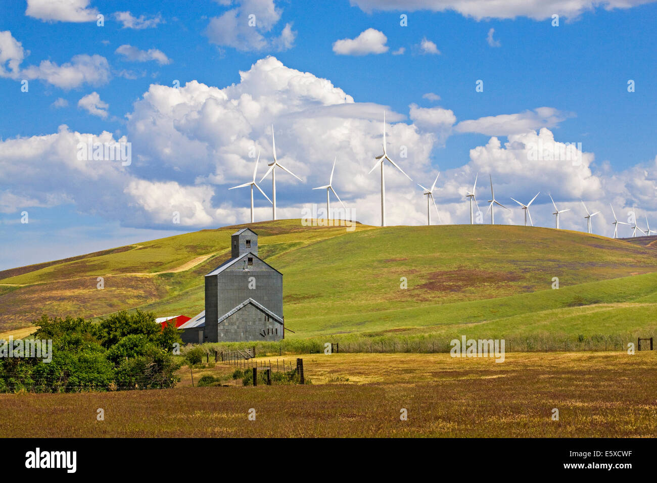Un agriturismo in remoto Impero Palouse regione, di allevamento e di produzione del frumento regione di dolci colline e ampi cieli di Washington orientale. Foto Stock
