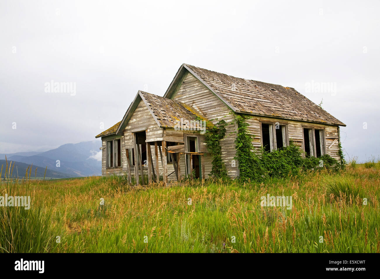 Un antico casale abandone su una fattoria di grano nella Valle di Swan dell'Idaho orientale. Foto Stock