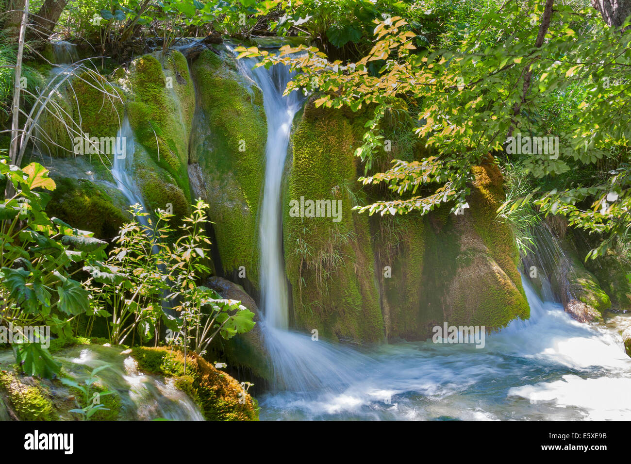 Cascata di primavera nei boschi Foto Stock