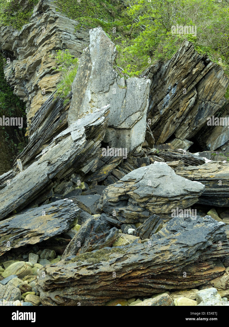 Caduto lastre rocciose, caduta di massi, Glasnakille scogliere, Isola di Skye Foto Stock