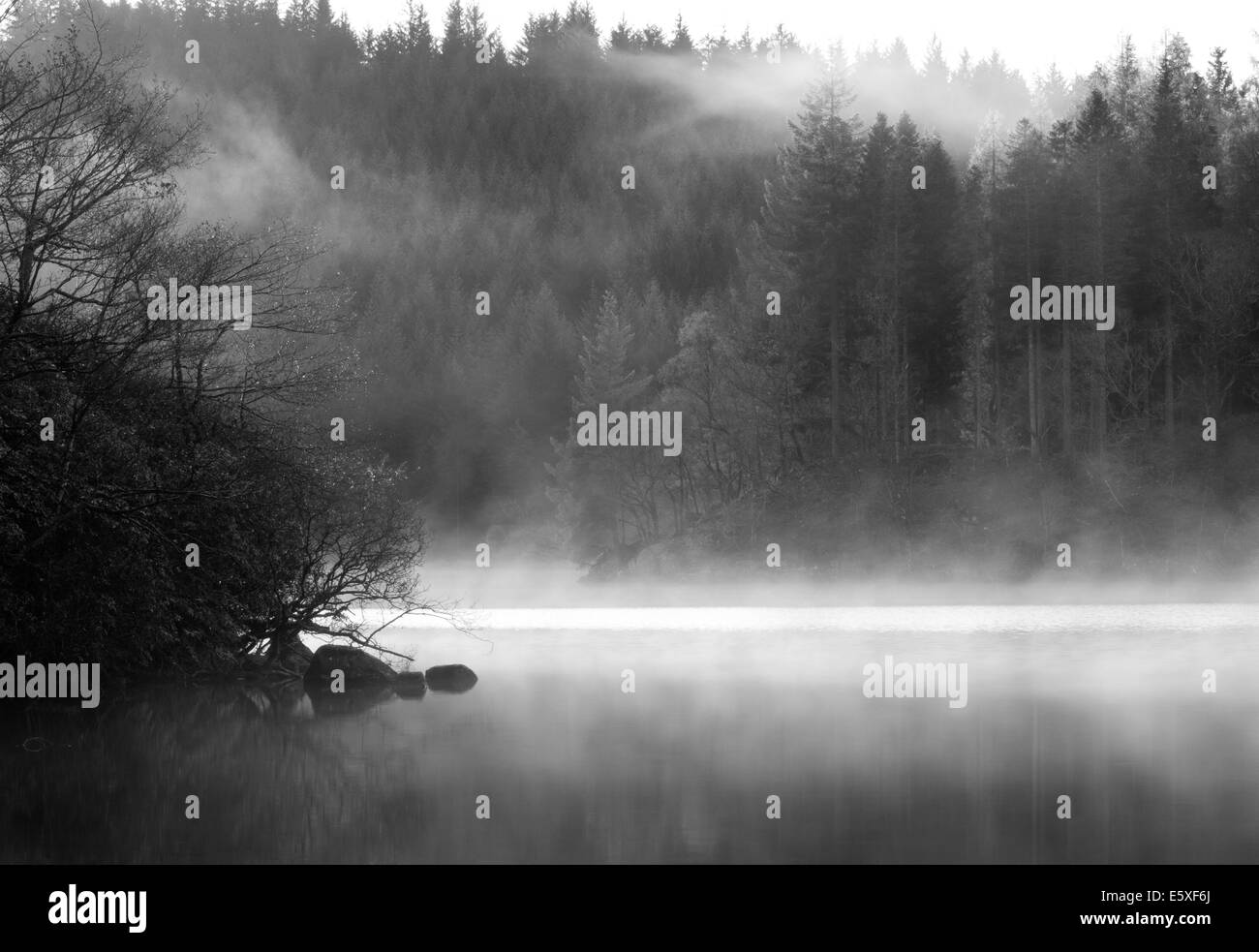 Early Morning Mist, Loch Ard, in bianco e nero Foto Stock