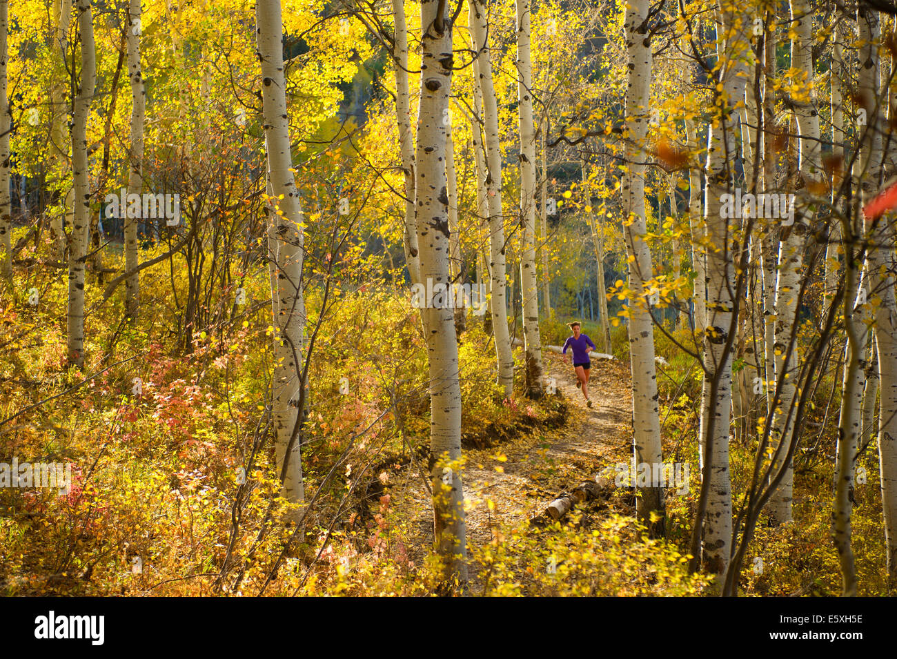 Aidan Lehfeldt-Ehlinger in esecuzione su di un sentiero di Park City, Utah Foto Stock