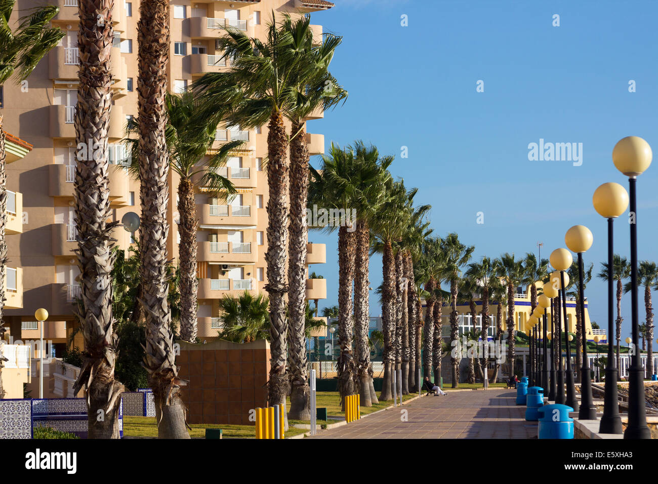 Strada litorale con lampade e palme in La Manga, Spagna Foto Stock
