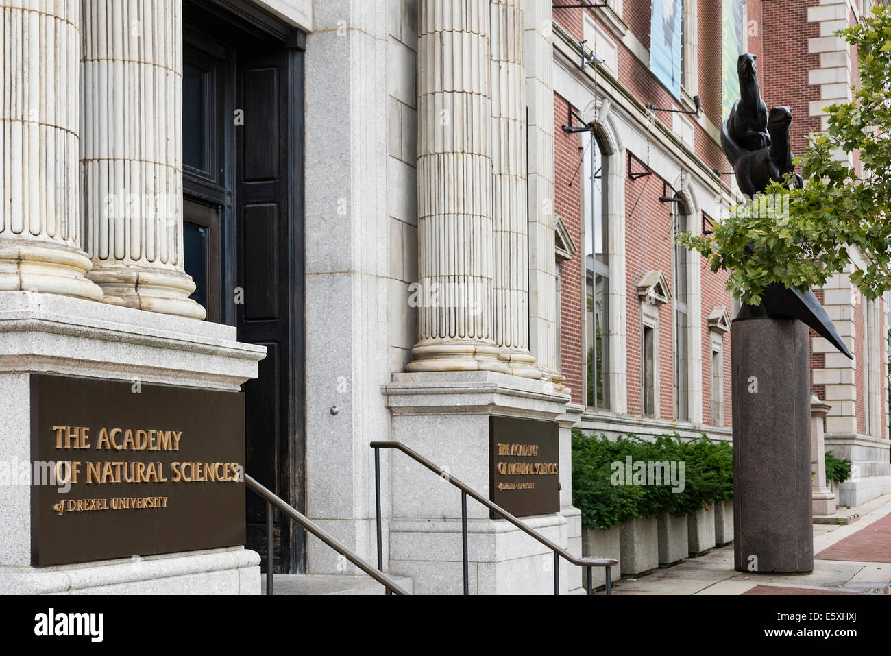 L'Accademia di Scienze Naturali di Drexel University di Philadelphia, Pennsylvania, STATI UNITI D'AMERICA Foto Stock