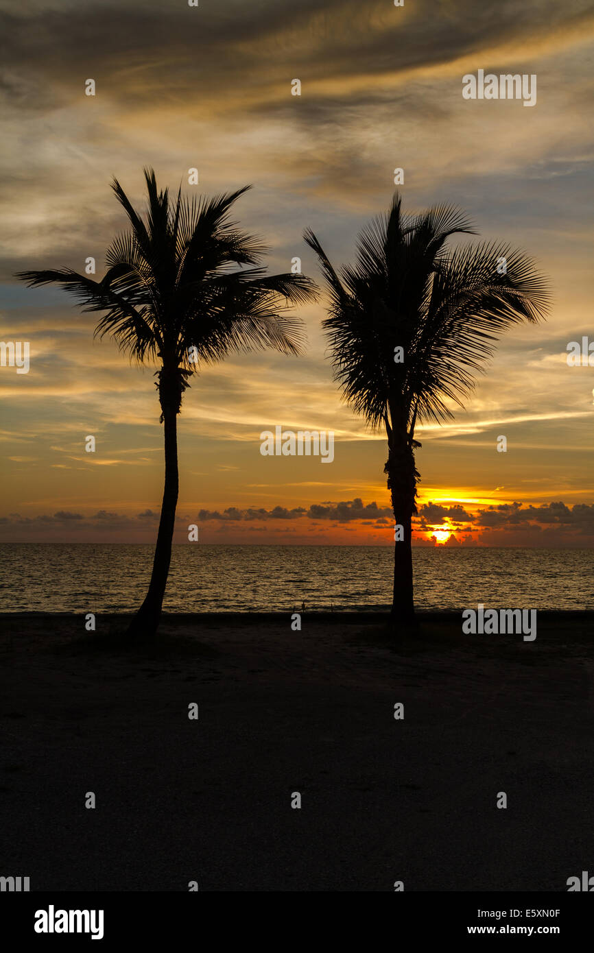 Twin Palms al tramonto Foto Stock