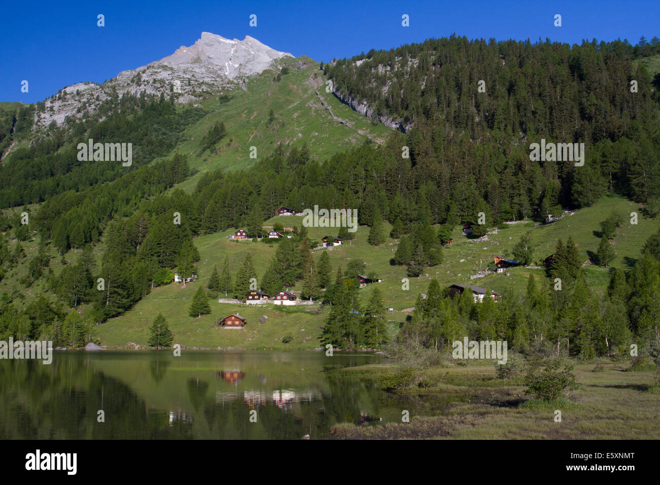 Colline boscose al di sopra di un lago alpino a Derborence, Vallese, Svizzera Foto Stock