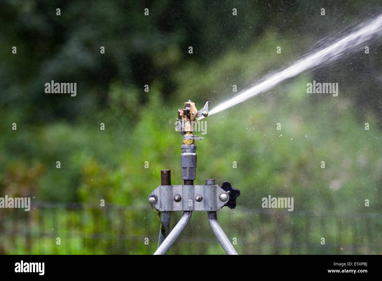Rain Bird in ottone regolabile del rotore di impatto Sprinklerhead inviando un flusso di acqua verso il lato destro Foto Stock