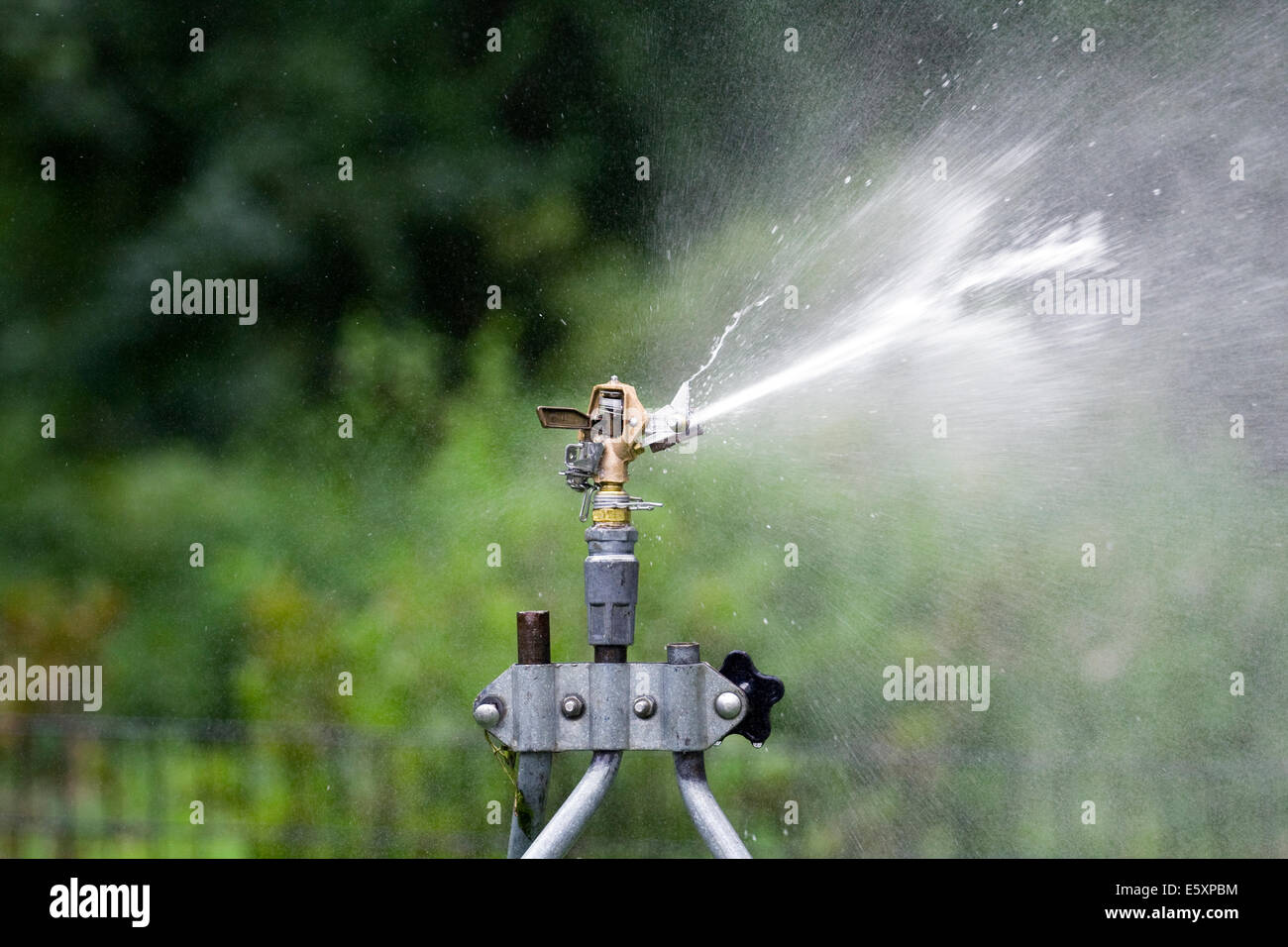 Rain Bird in ottone regolabile di impatto della lama del rotore di colpire un flusso di acqua sul lato destro della testina sprinkler Foto Stock