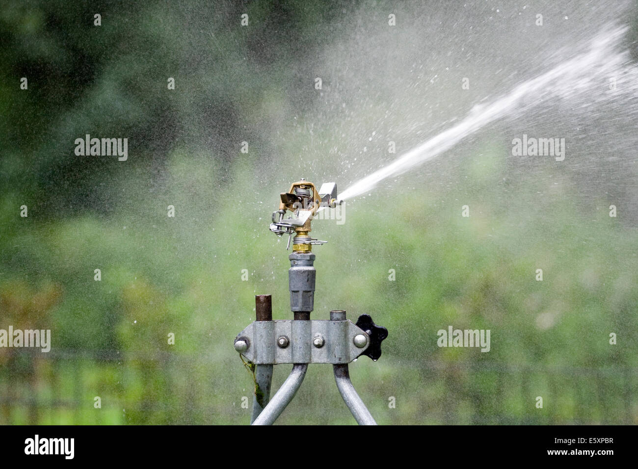 Rain Bird in ottone regolabile di impatto della lama del rotore di colpire un flusso di acqua sul lato destro della testina sprinkler Foto Stock