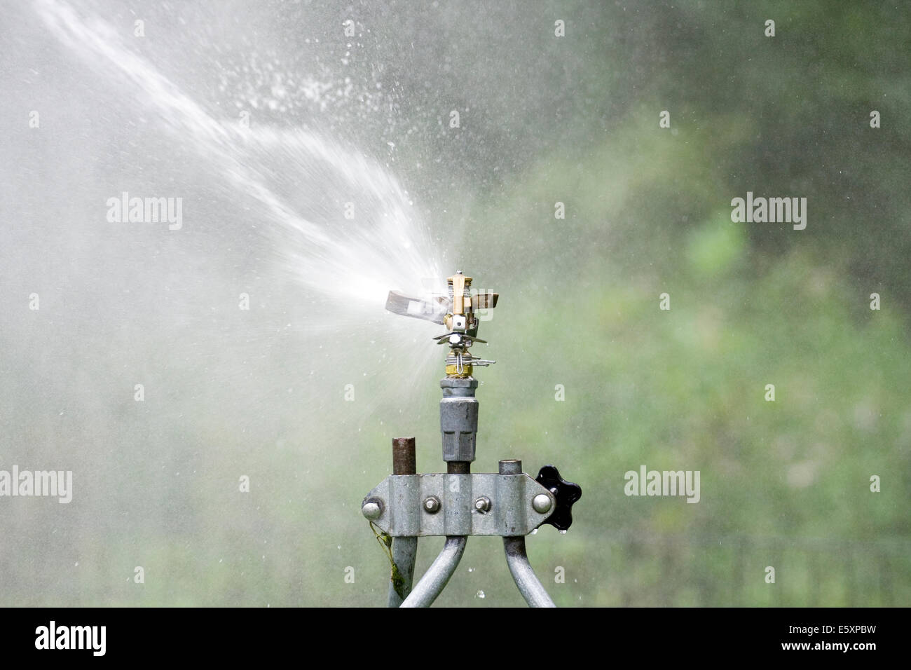 Rain Bird in ottone regolabile di impatto della lama del rotore di colpire un flusso di acqua sul lato sinistro della testa dell'irrigatore Foto Stock