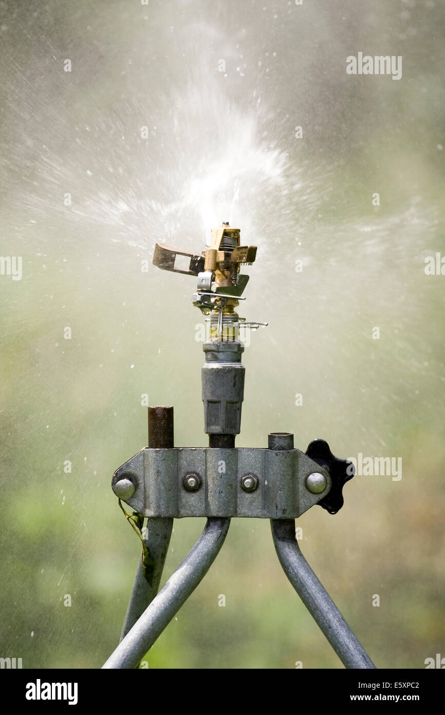 Rain Bird in ottone regolabile di impatto della lama del rotore al fine di rendere il contatto con un flusso di acqua in uscita della testina sprinkler Foto Stock