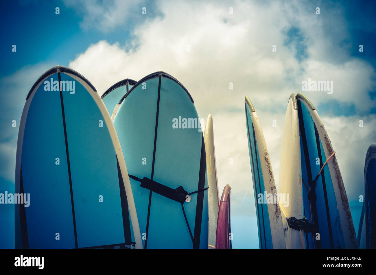 Vintage Hawaiian Surf Foto Stock