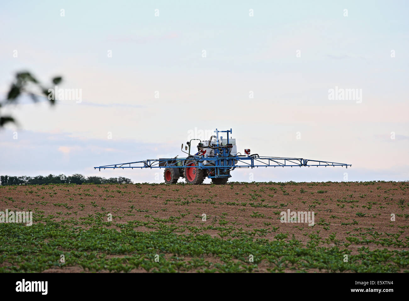 Un agricoltore herbizide spray sul suo campo, Leutenbach-Weiler zum Stein, Germania, 16 maggio 2014. Foto Stock