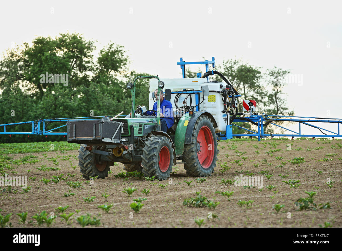 Un agricoltore herbizide spray sul suo campo, Leutenbach-Weiler zum Stein, Germania, 16 maggio 2014. Foto Stock