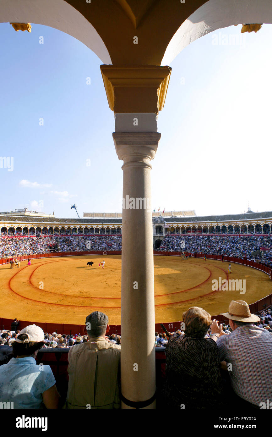 La corrida durante la Feria de Abril di Siviglia, Fiera Plaza de toros de la Real Maestranza de Caballería de Sevilla Bullring, Siviglia, Spagna Foto Stock