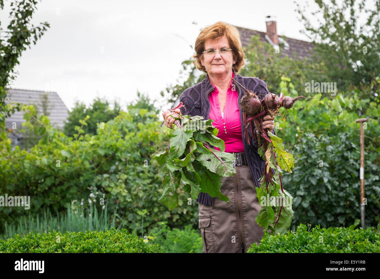 Felice senior donna raccolta self coltivati ortaggi Foto Stock