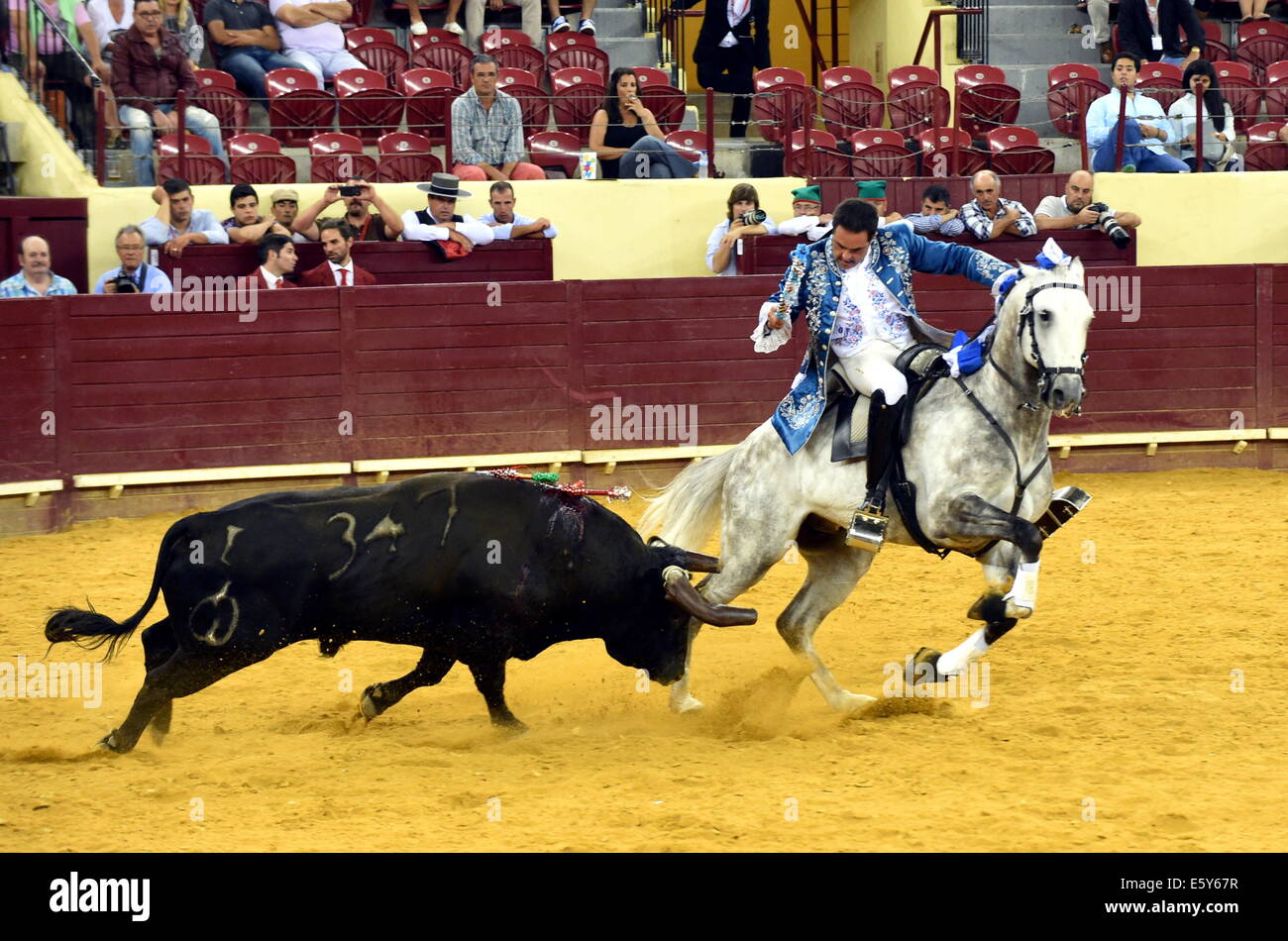 Lisbona, Portogallo. Il 7 agosto, 2014. Un matador compie durante un tradizionale corrida portoghese a Lisbona il Campo Pequeno Arena, Portogallo, 7 Agosto, 2014. La corrida portoghese è diverso e molto meno cruenta rispetto alla versione spagnola in cui la bolla viene pugnalato a morte se il matador riesce a vincere la gara. Credito: Zhang Liyun/Xinhua/Alamy Live News Foto Stock