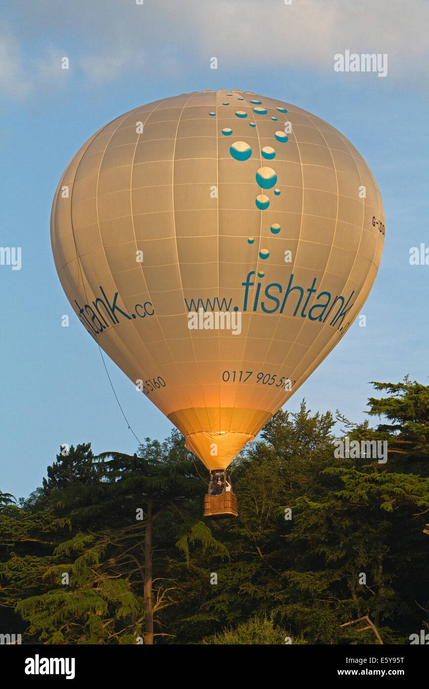 Bristol,UK,7 Luglio 2014,un palloncino agganciato gli alberi durante la mattina presto lanciare al Bristol International Balloon Fiesta Credito: Keith Larby/Alamy Live News Foto Stock