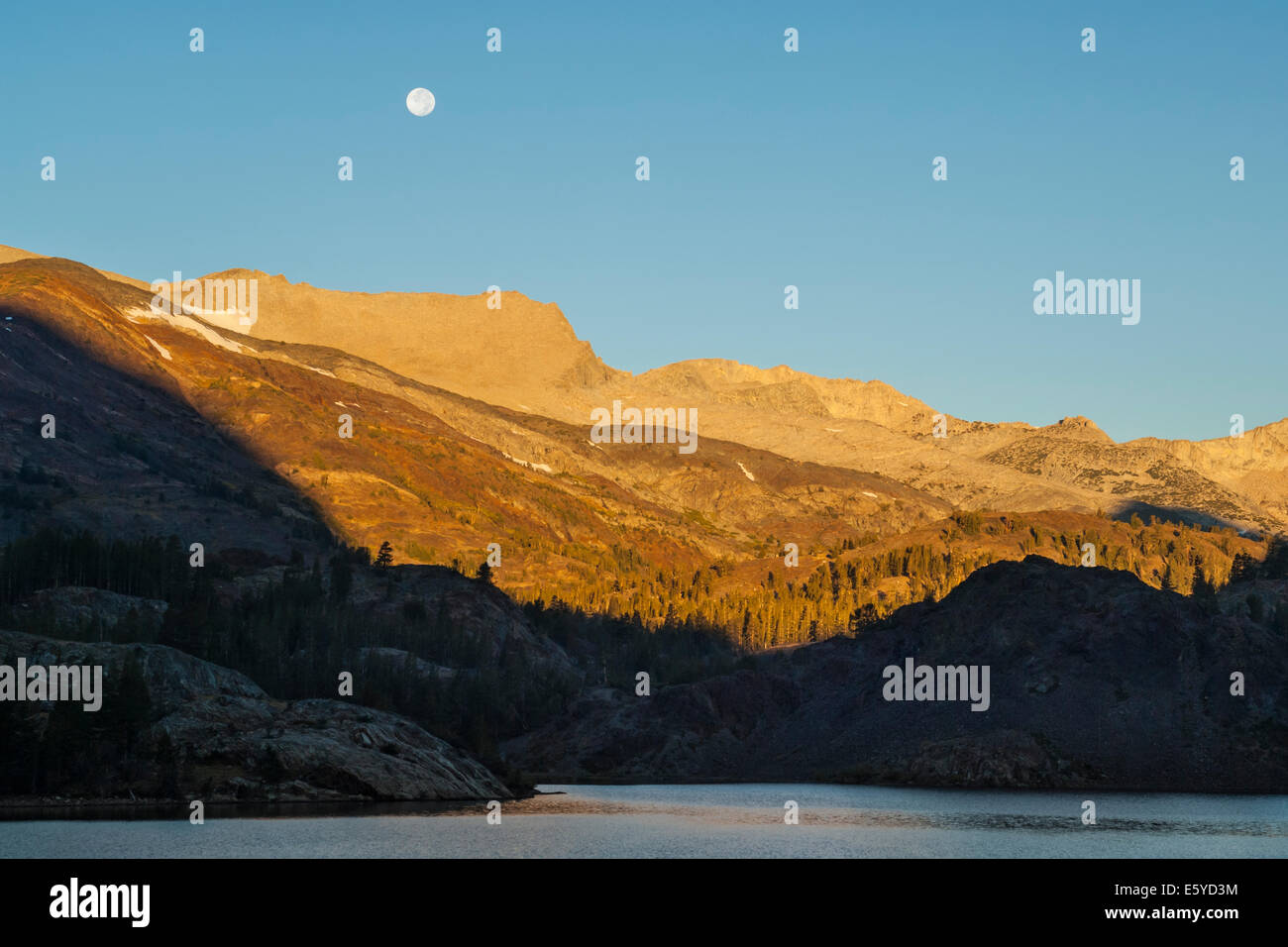 Luna piena impostazione su montagne di sunrise su Ellery Lake, vicino Tioga Pass, Sierra orientale, California Foto Stock