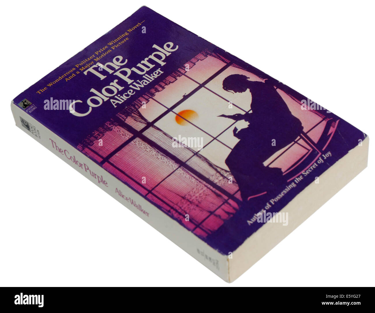 Il Colore Viola di Alice Walker Foto Stock