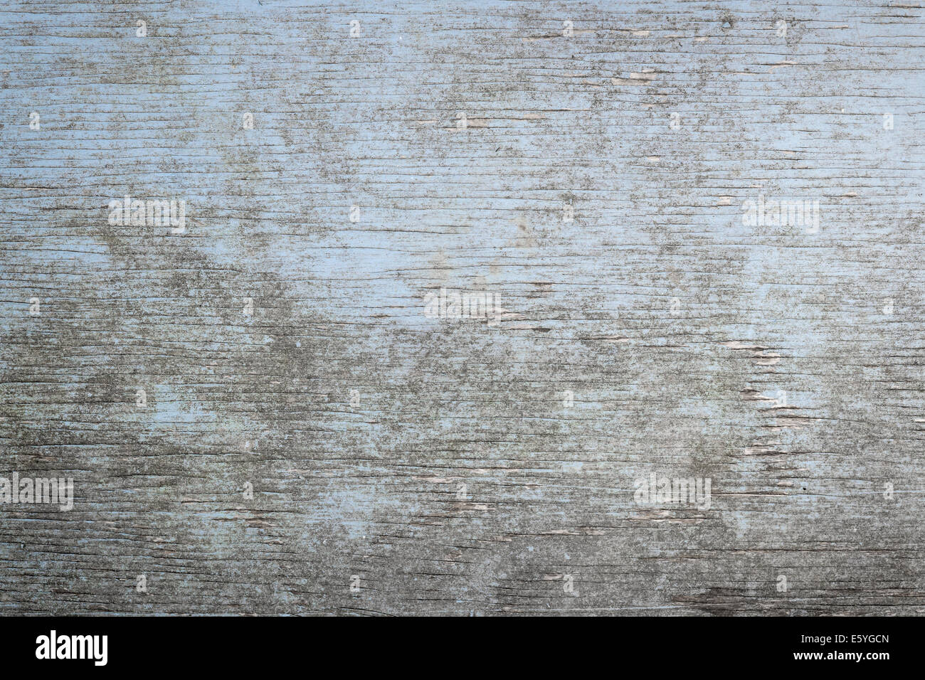 In legno antico di sfondo weathered distressed legno rustico con luce sbiadita della vernice blu che mostra woodgrain texture Foto Stock