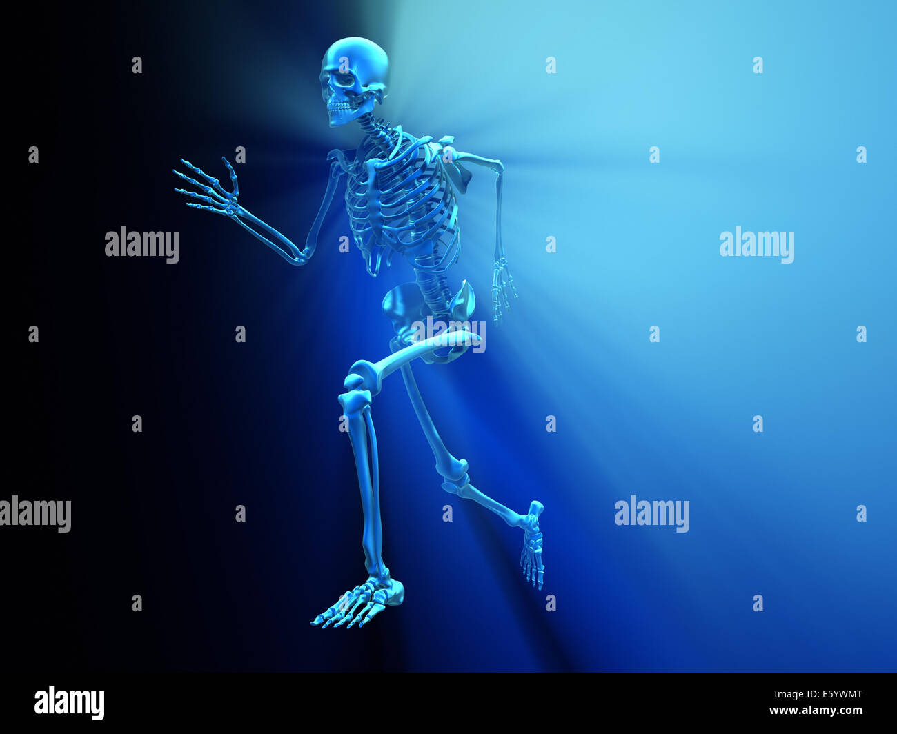 Scheletro umano in esecuzione - 3D render illustrazione Foto Stock