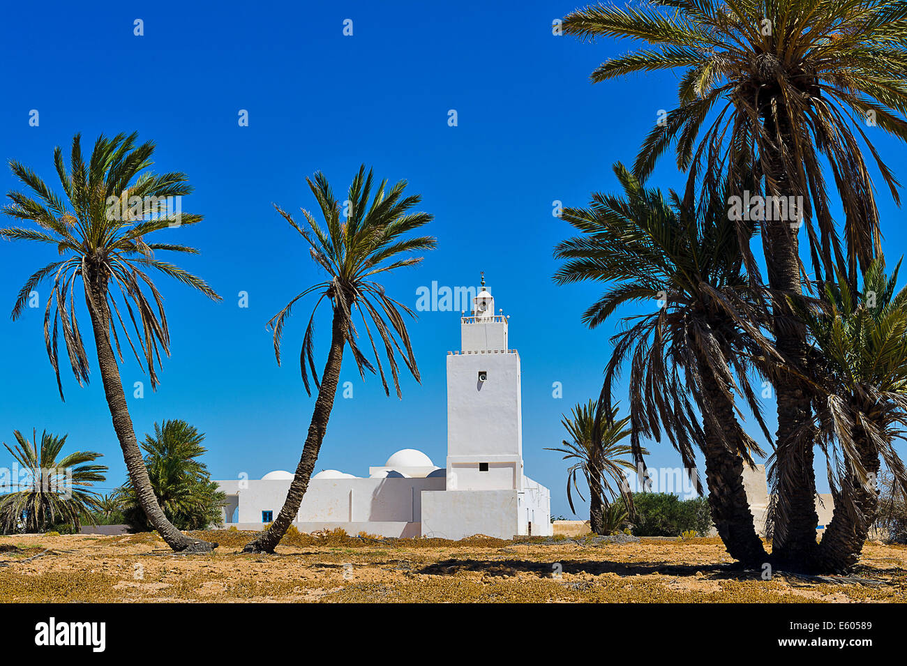 Africa, Nord Africa, il Maghreb, sud della Tunisia, isola di Djerba. Guellala. Moschea. Foto Stock