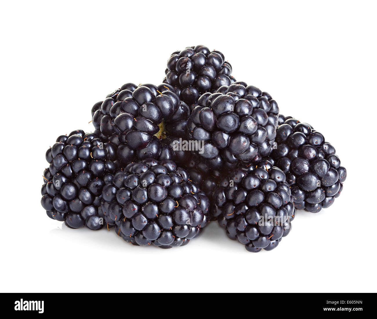 Blackberry isolati su sfondo bianco Foto Stock