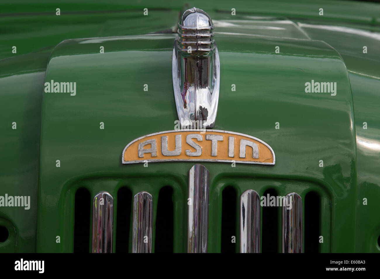 Vintage Austin camion calandra sul corpo verde Foto Stock