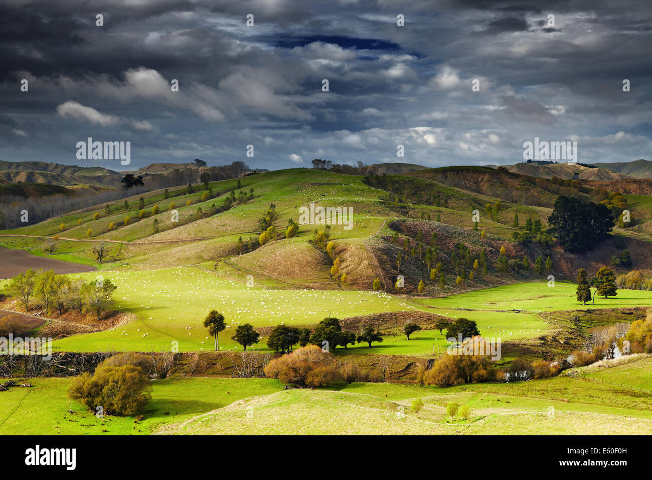 Paesaggio con terreni coltivati e cielo nuvoloso, Isola del nord, Nuova Zelanda Foto Stock