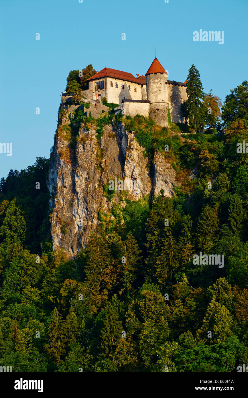 La Slovenia, Bled, il lago di Bled e sulle Alpi Giulie, il castello di Bled Foto Stock