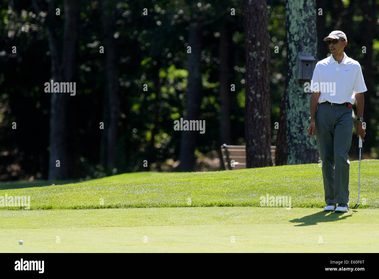 Oak Bluffs, Massachusetts, STATI UNITI D'AMERICA. Il 9 agosto, 2014. Il Presidente degli Stati Uniti Barack Obama guarda il suo putt sul primo verde durante una partita di golf presso la fattoria collo Golf Club in Oak Bluffs, Massachusetts, Stati Uniti, sabato 9 agosto 2014. Il presidente, che arrivarono sull'isola oggi, è in vacanza per due settimane. Credito: Matthew Healey/Piscina via CNP - NESSUN SERVIZIO DI FILO- Credito: dpa/Alamy Live News Foto Stock