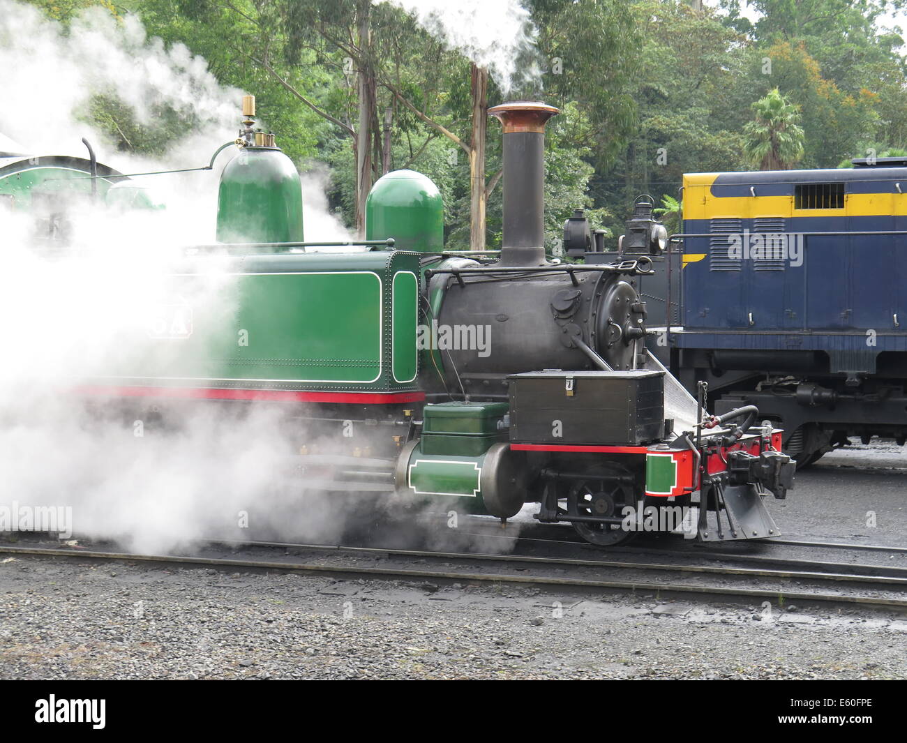 Treno a Vapore Puffing Billy a Belgrave, Victoria, Australia Foto Stock