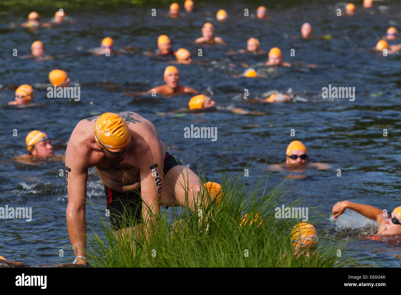 Persone in competizione in Ångaloppet, una concorrenza swimrun dove si corre su terreni e nuotare in laghi e mare più volte. Foto Stock