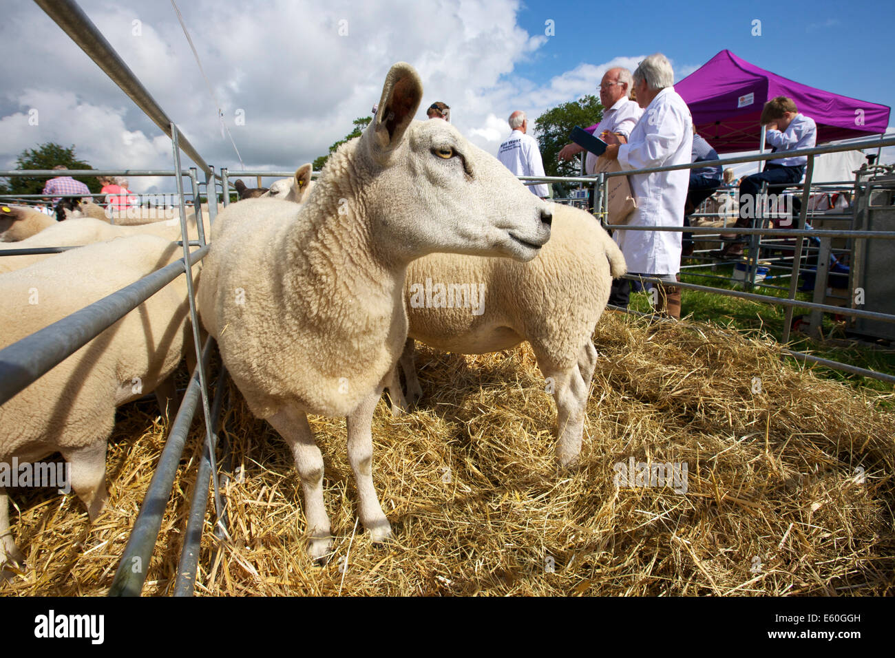 Mostra Burwarton Burwarton Shropshire West Midlands England Regno Unito Foto Stock