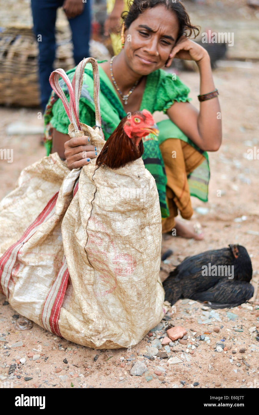 AHMEDABAD, Gujarat/INDIA - Domenica 10 agosto 2014 : Vari roba per vendere al mercato aperto, GujariBazaar in Ahmedabad. GujariBazaar è di 600 anni vecchio mercato di divertente raccolta di mobili antichi, utensili domestici, di seconda mano attrezzature informatiche, antichi metalware, vestiti, libri, e animali. Foto Stock